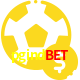 Aposte em esportes do mundo todo no pgindbet!