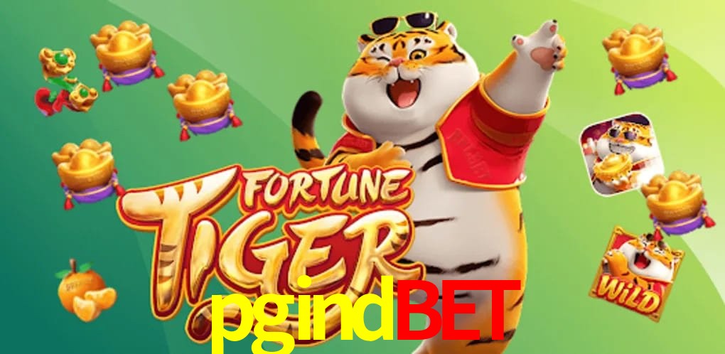 Experiência VIP pgindbet